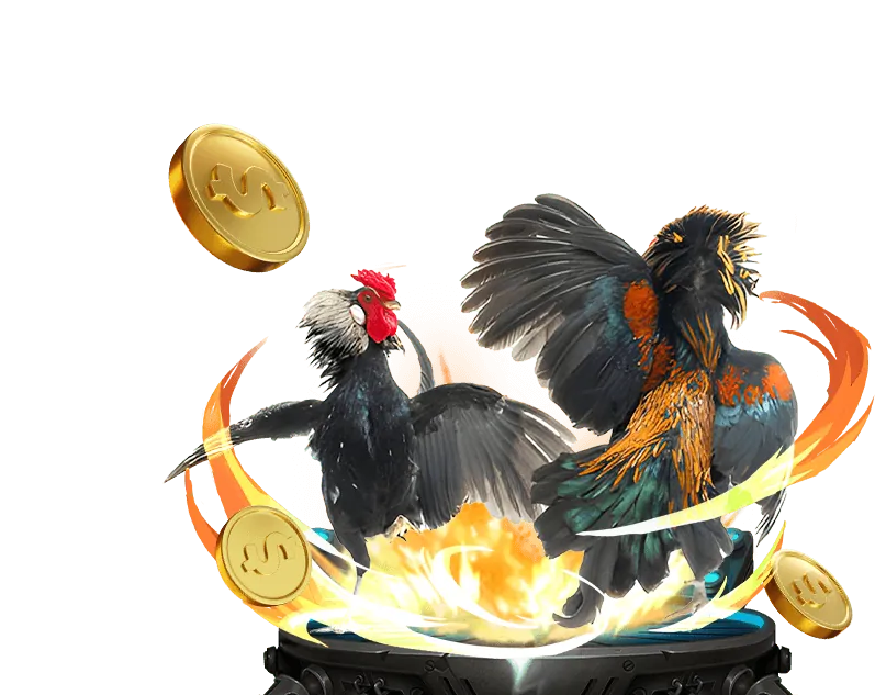 Tham gia fa88 Đá Gà